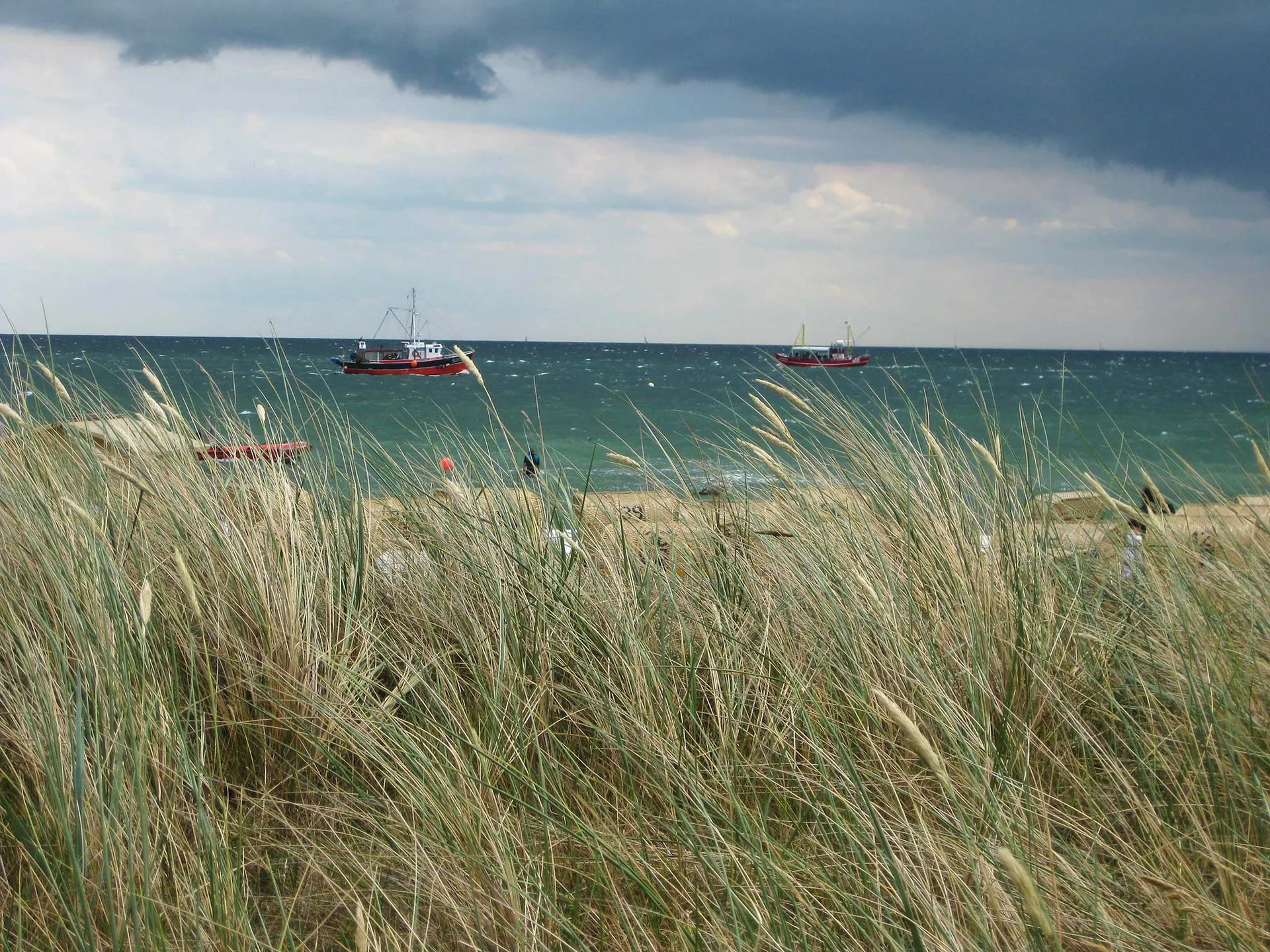 Blick durch Dünengras auf die Ostsee