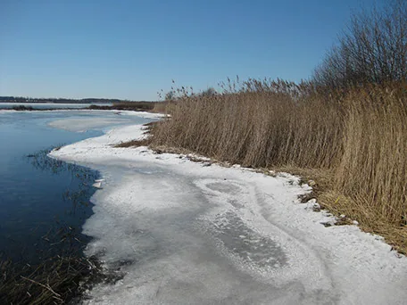 Vereiste Küstenlandschaft auf Fehmarn