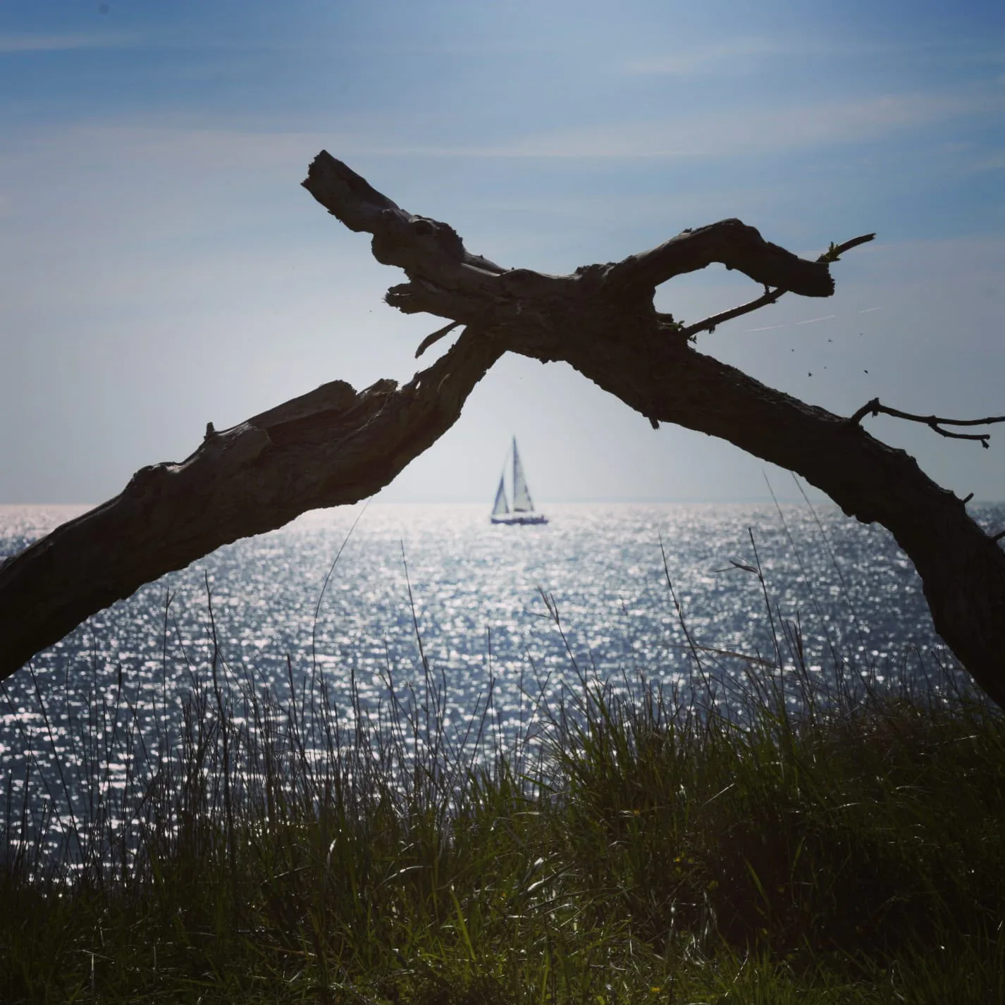 Landschaft Impressionen Segelboot